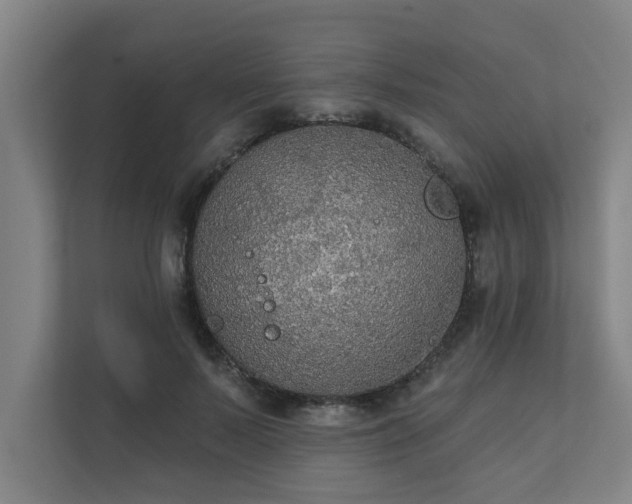 X0000111420695200907201048