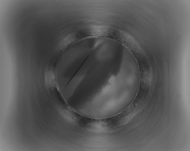 X0000111420696200907201048