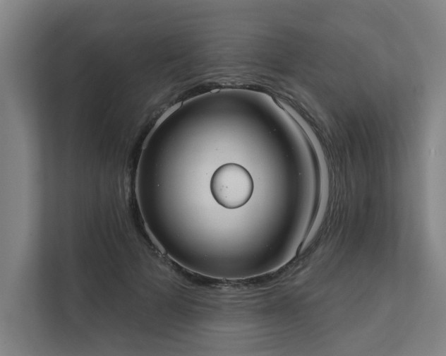 X0000111420697200907201048