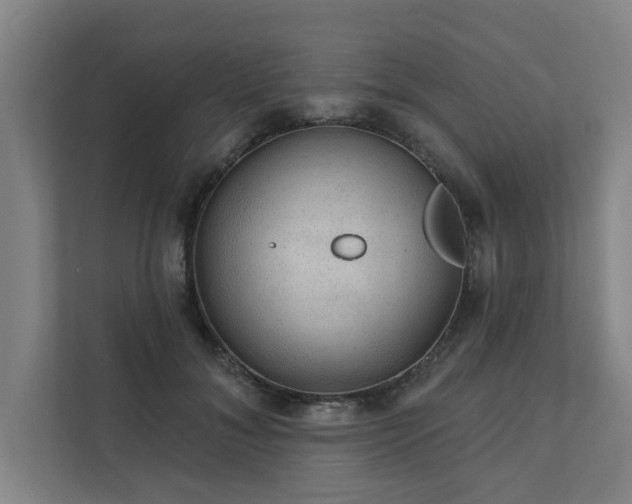 X0000111420700200907201048