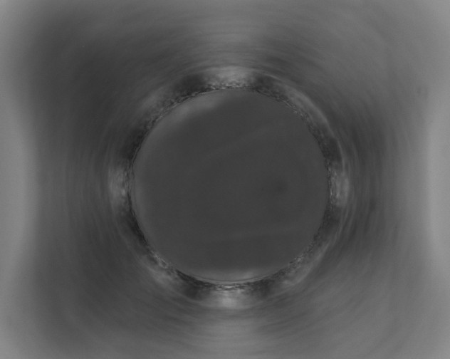 X0000111420701200907201048