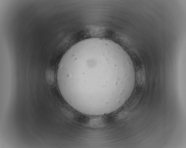 X0000111420705200907201048