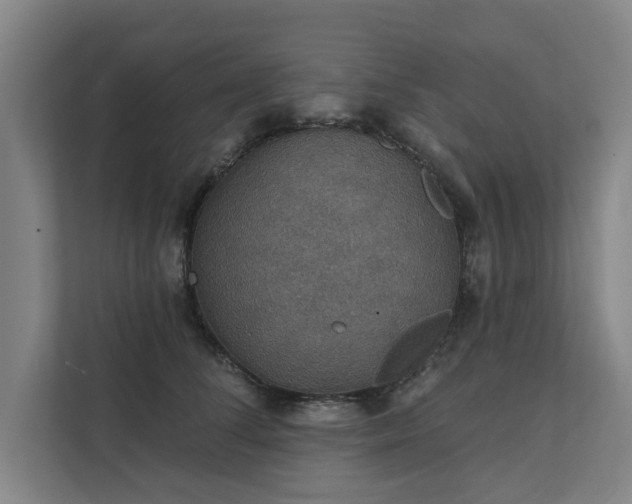 X0000111420708200907201048