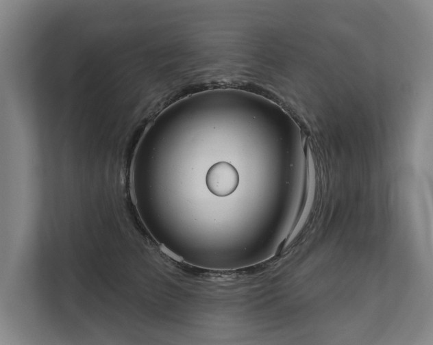 X0000111420709200907201048