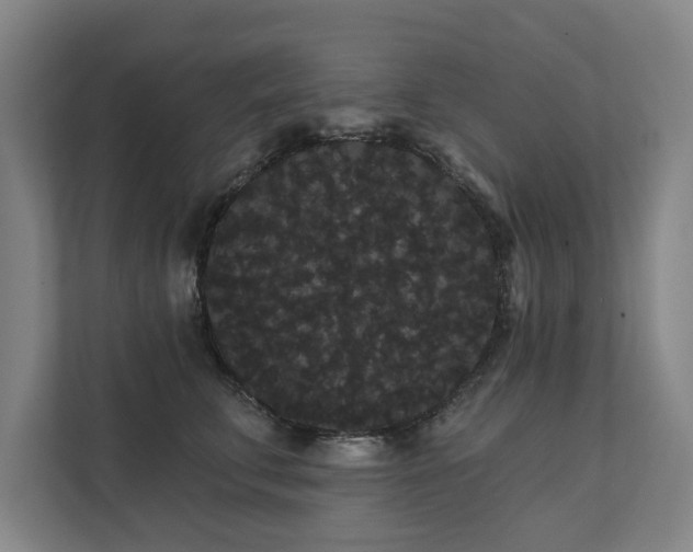 X0000111420711200907201048