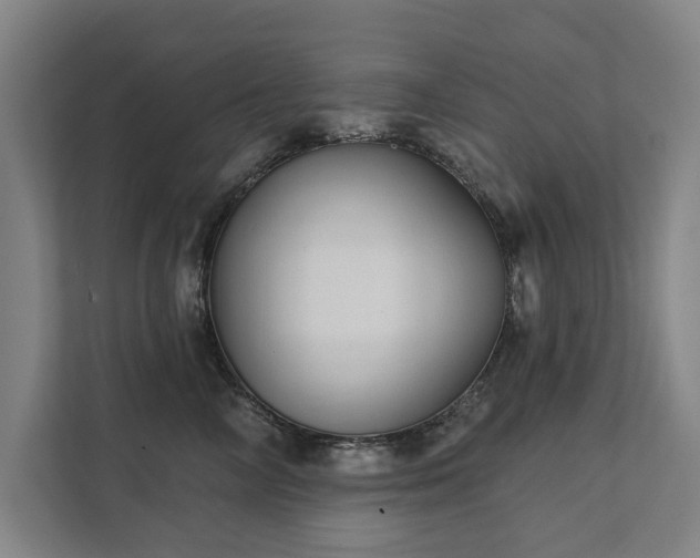 X0000111420714200907201048