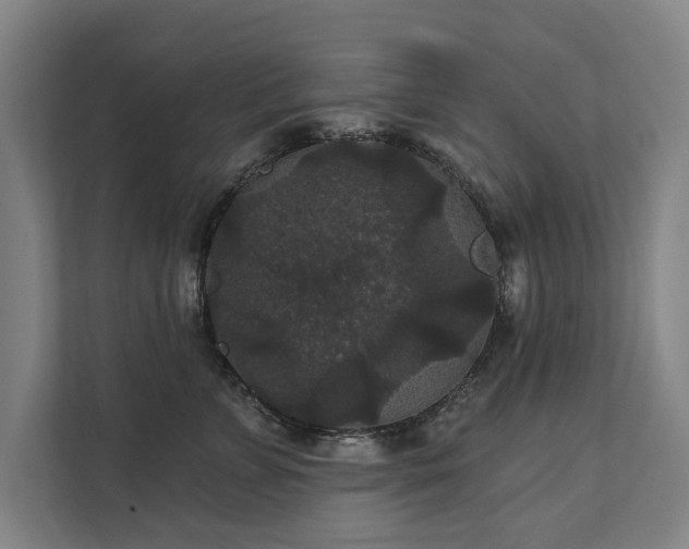 X0000111420715200907201048