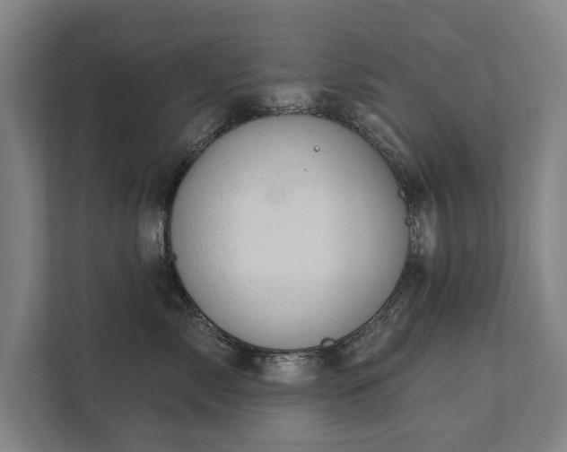 X0000111420717200907201048