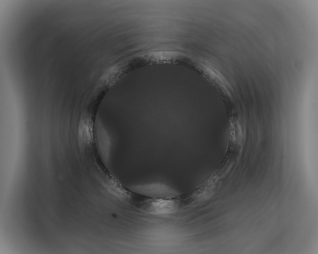 X0000111420718200907201048