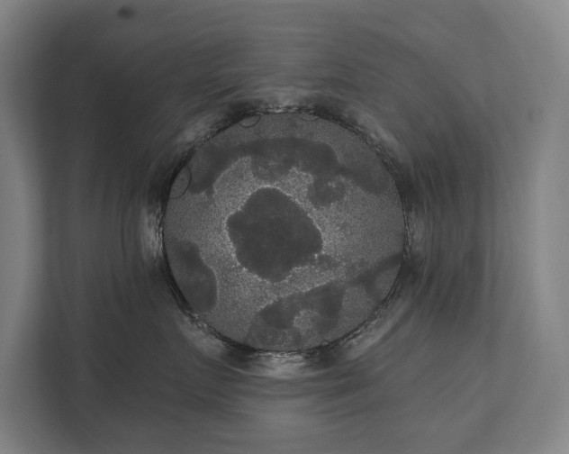 X0000111420719200907201048