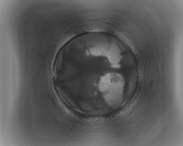 X0000111420721200907201047