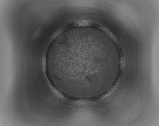 X0000111420725200907201047