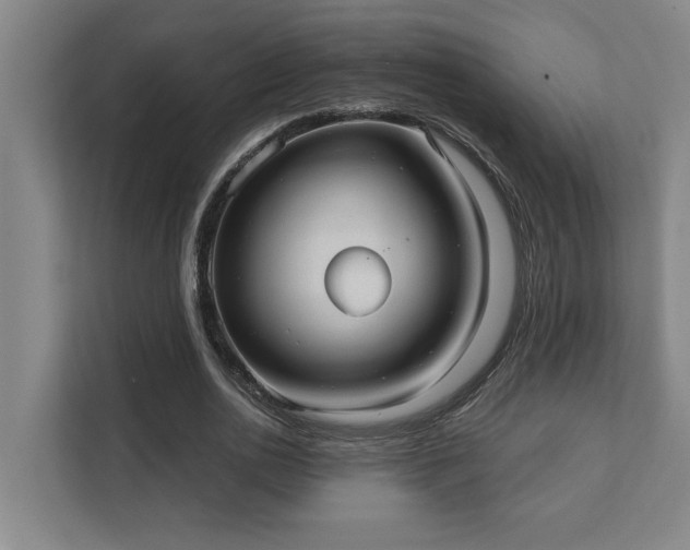 X0000111420726200907201047