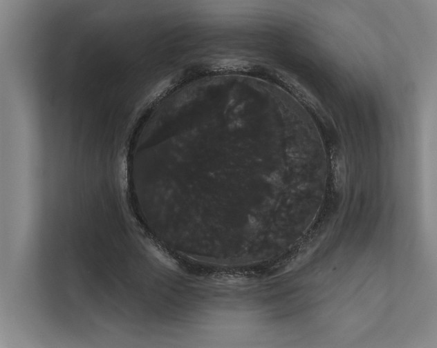 X0000111420729200907201047