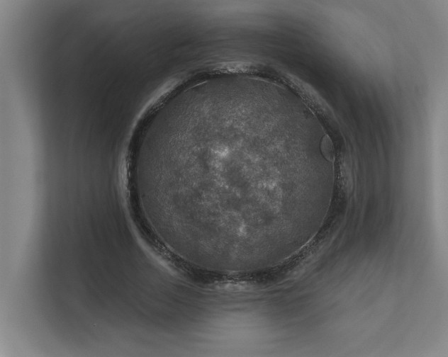 X0000111420730200907201047