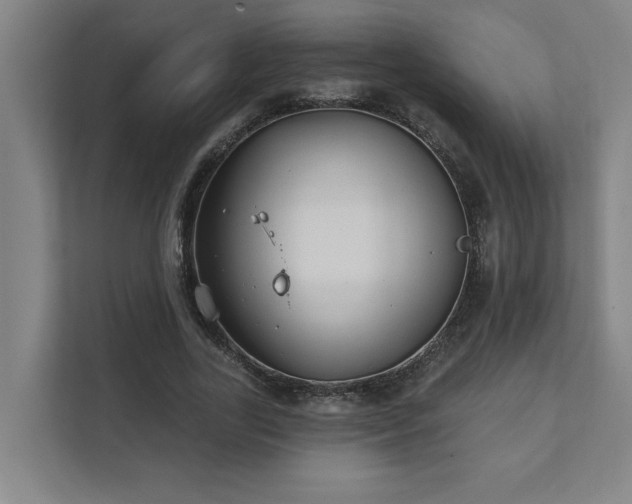 X0000111420731200907201047