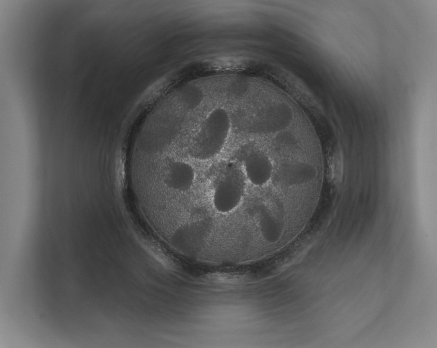 X0000111420733200907201047