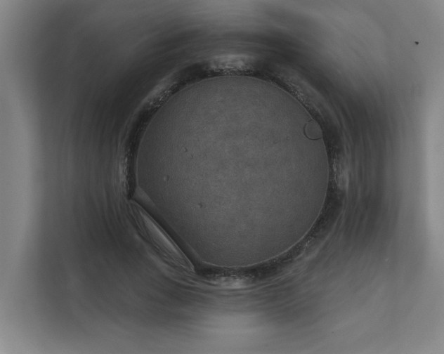 X0000111420735200907201047