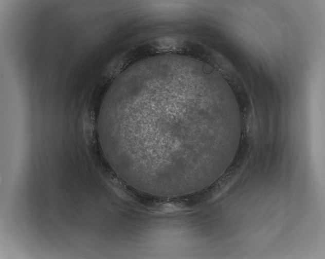 X0000111420737200907201047