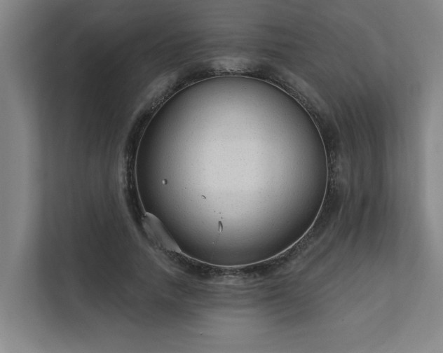 X0000111420738200907201047