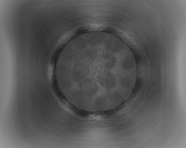 X0000111420742200907201047