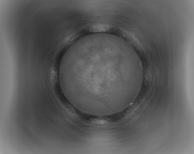 X0000111420743200907201047