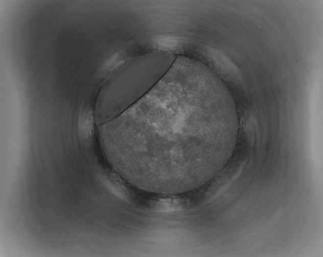 X0000111420744200907201047