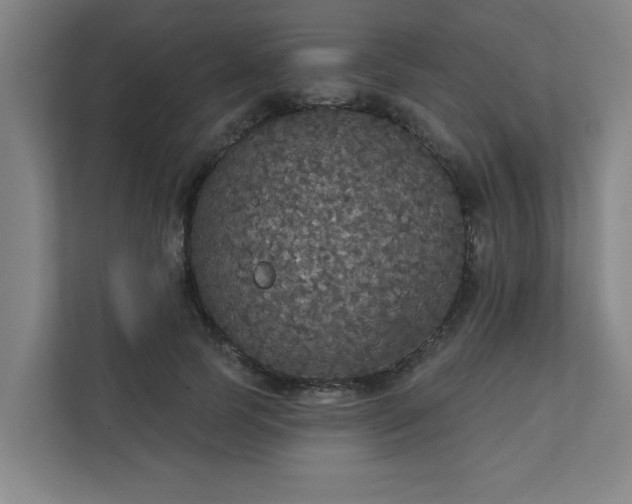 X0000111420745200907201047