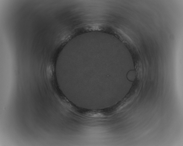 X0000111420747200907201047