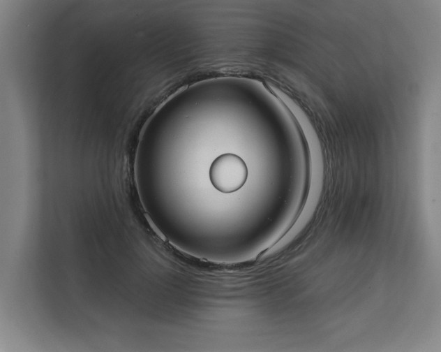 X0000111420748200907201047