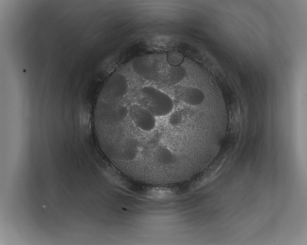 X0000111420749200907201047