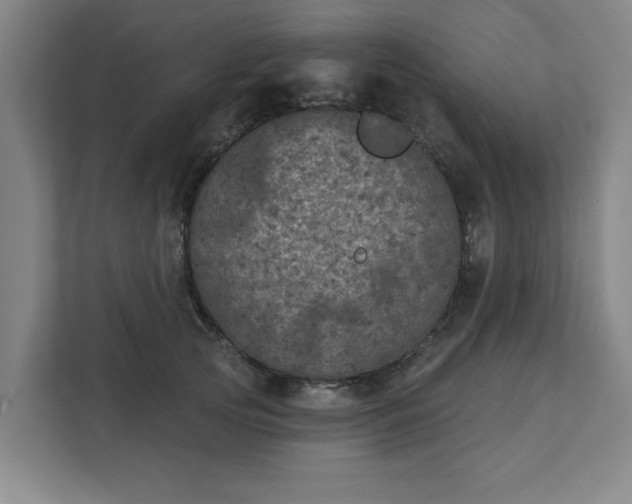 X0000111420753200907201047