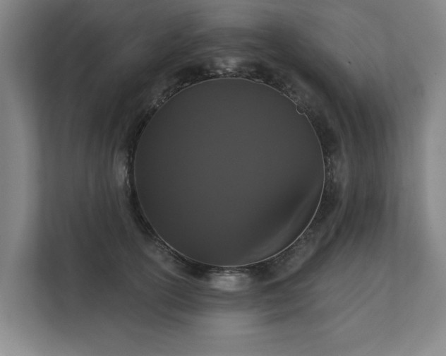 X0000111420754200907201047