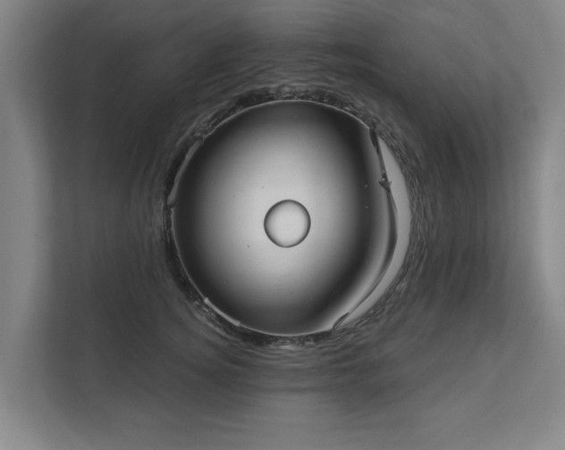 X0000111420756200907201047