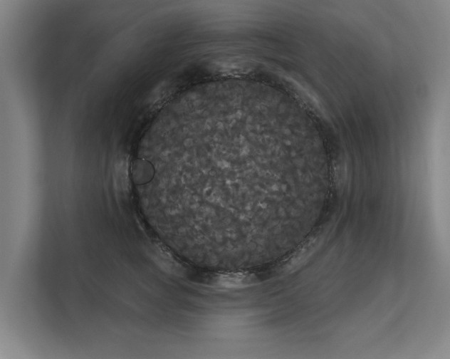 X0000111420757200907201047