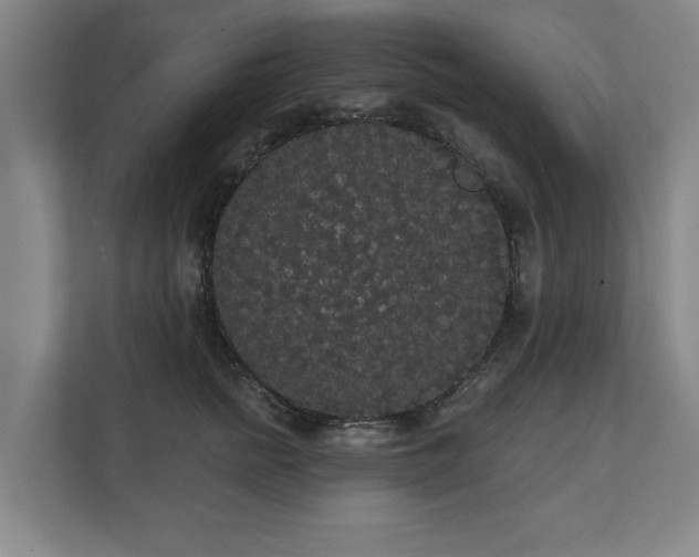 X0000111420758200907201047