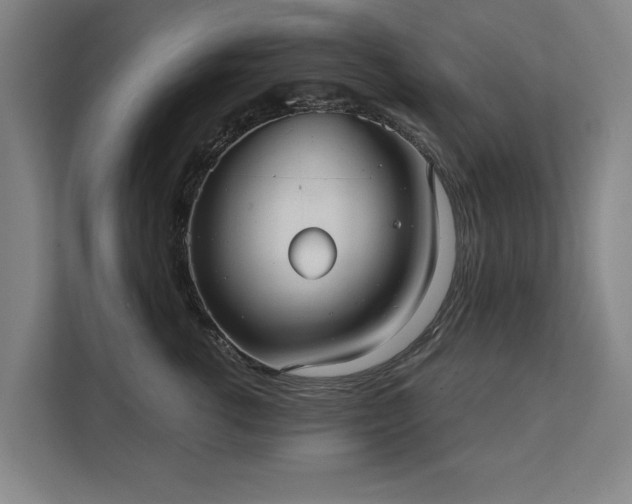 X0000111420762200907201047