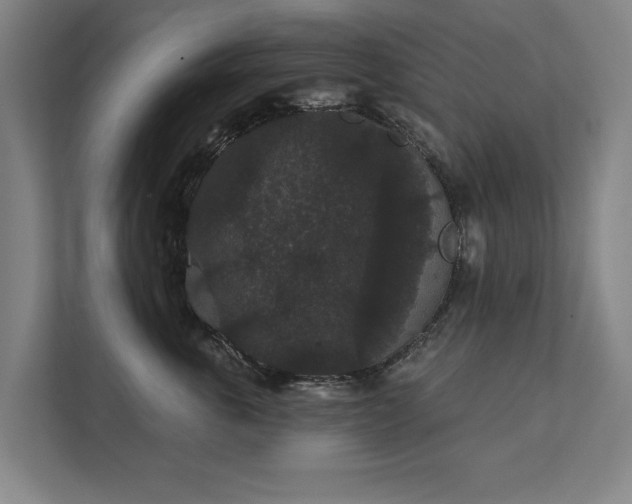 X0000111420763200907201047