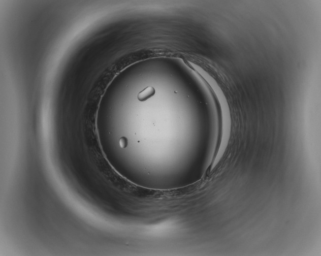 X0000111420764200907201047