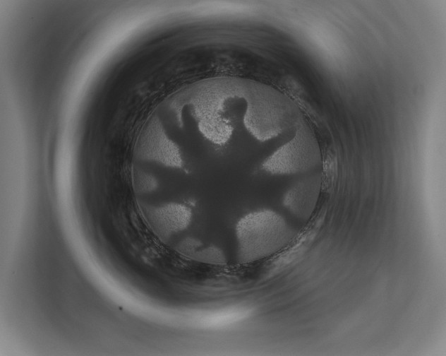 X0000111420765200907201047