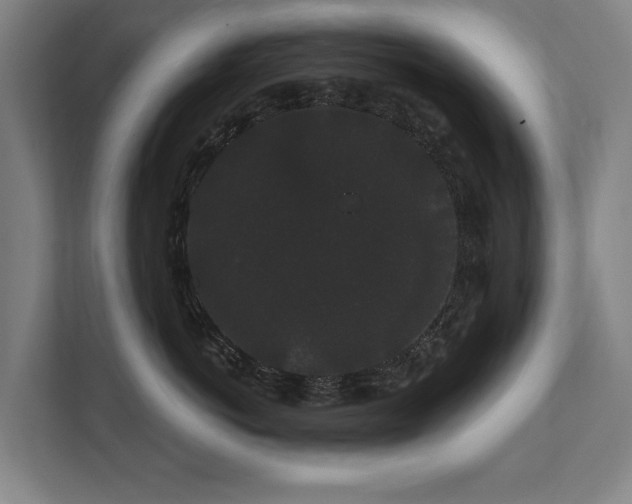 X0000111420766200907201047