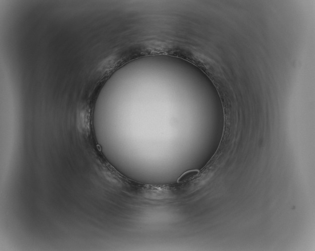 X0000111420768200907201048