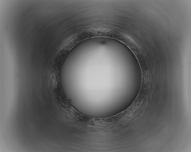 X0000111420774200907201047