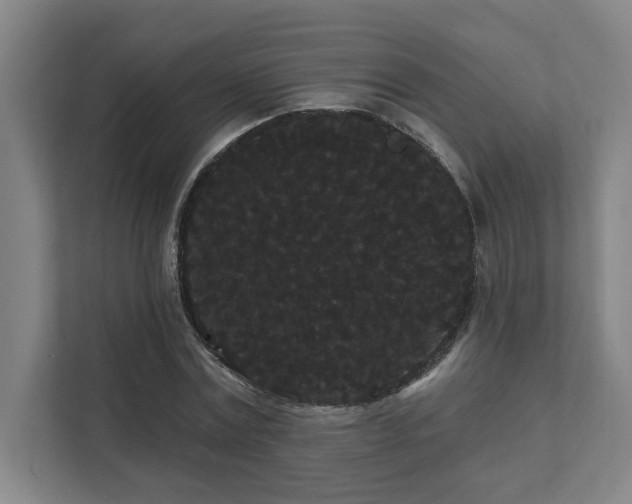 X0000111420779200907201047