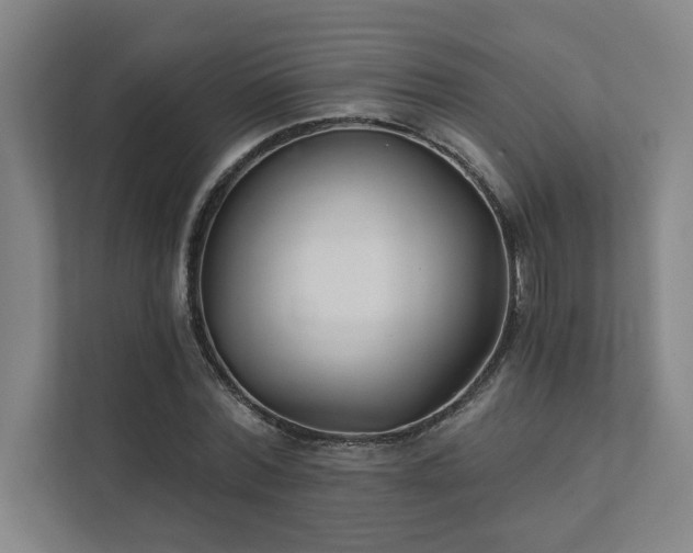 X0000111420780200907201047