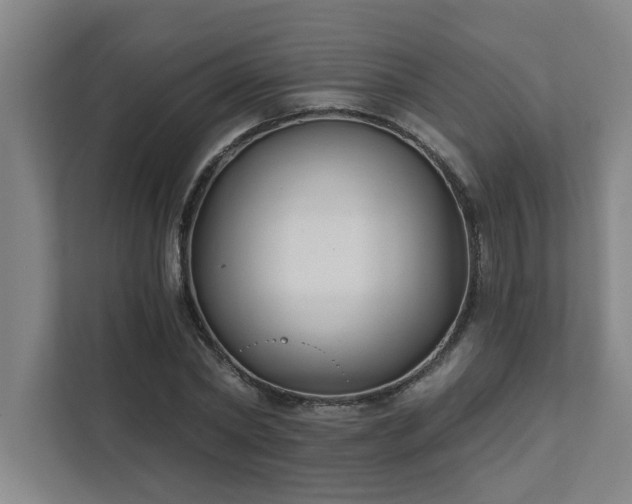 X0000111420782200907201047