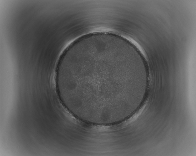 X0000111420783200907201047