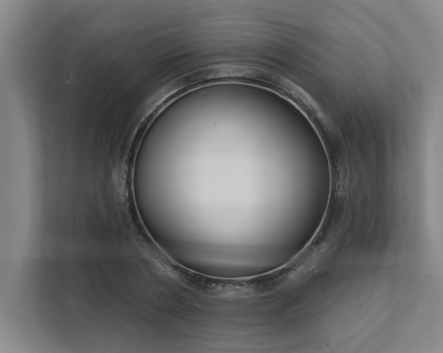 X0000111420786200907201047