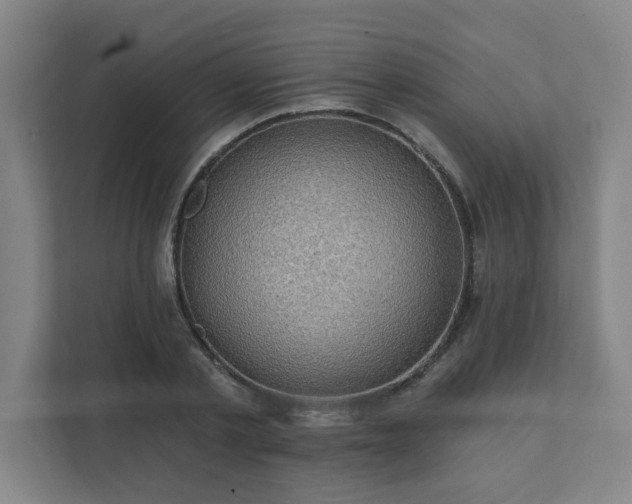 X0000111420789200907201047