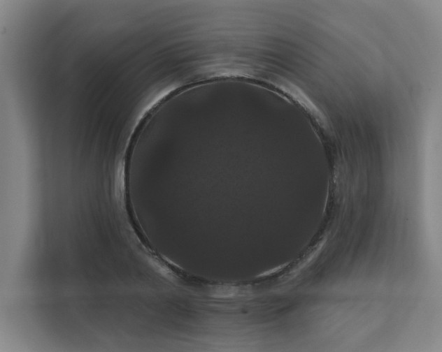 X0000111420790200907201047